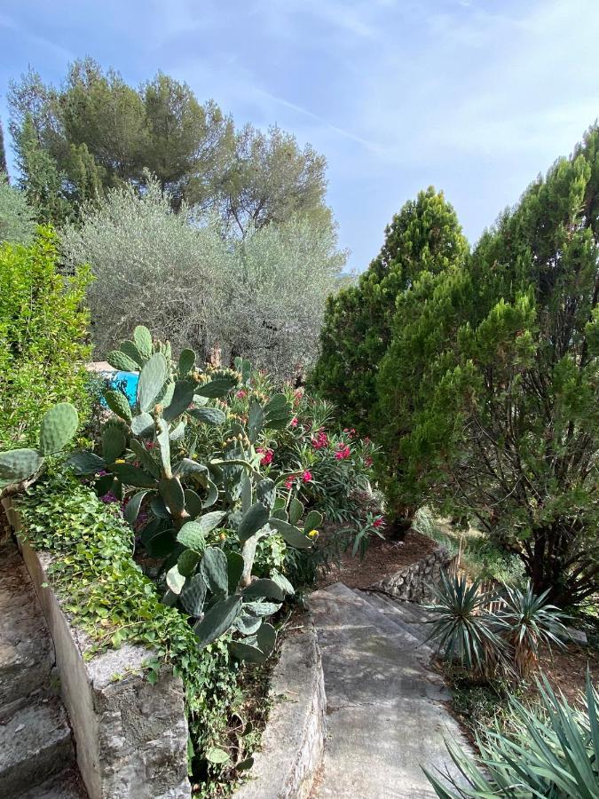 Entre Nice Et Monaco Grande Villa Avec Piscine Privee 12 Personnes Drap Exterior photo